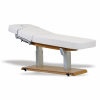 Spa Wellness behandeltafel TEJAS met gratis verwarming