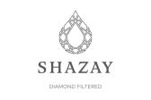 Shazay hairspa